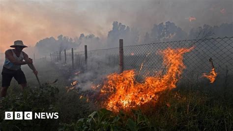 Algeria wildfires: Dozens killed and thousands evacuated .